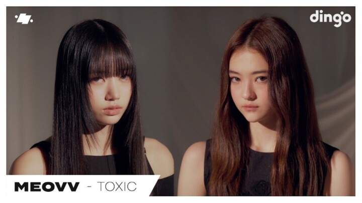 MEOVV «TOXIC» live dingo 🎤 241206