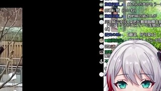 Gadis natural Jepang menonton "Video yang Paling Dicari Panda Raksasa"
