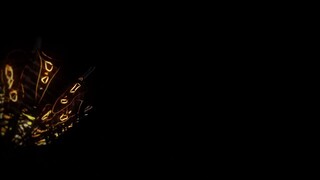 demon slayer edit by Dzakirin