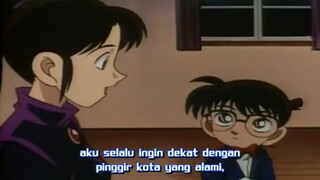 detective conan eps 11 sub indo