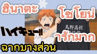 [ไฮคิว!! คู่ตบฟ้าประทาน] ฉากบางส่วน | ฮินาตะ โชโยน่ารักมาก