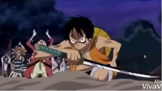 Khi Luffy sử dụng dao kiếm, Zoro phải bái Luffy làm sư phụ #onepiece