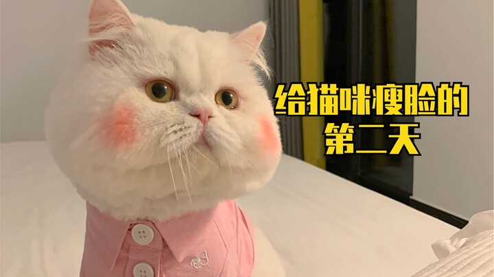 Day two of using a face-slimming device on my cat—if cats could talk, they’d be really articulate!