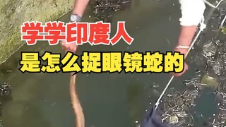 印度人为什么不怕眼镜蛇？
