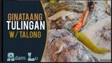 Ginataang Tulingan with Talong....