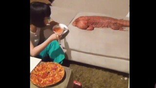 [Remix]Funny videos to make you laugh