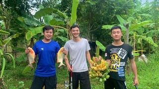 Thăm Nhà Văn Long | Câu Cá Làm Gỏi Ngày Mưa Gió