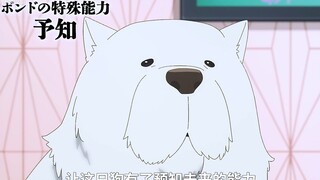 狗子拥有预知未来的能力，可这天它预感到自己要死了