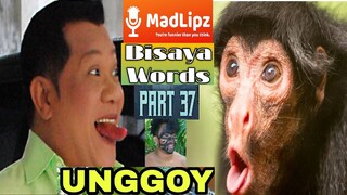 Madlipz bisaya version part 37