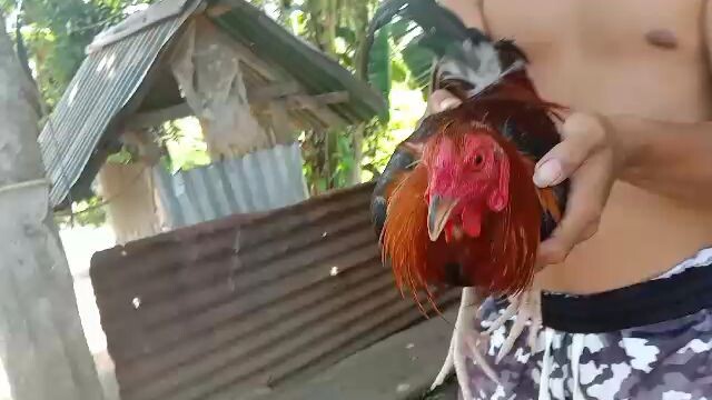 sparring lang mona mga kanokis...