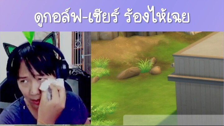 ร้องไห้กลางสตรีม!! ??  | Highlight The Sims 4