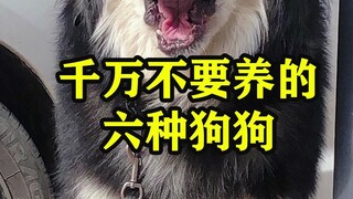 千万不要养的六种狗狗