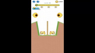 Save the Doge Level 61-70 Gameplay