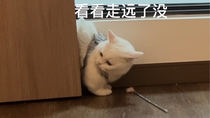 嘿嘿~不和傻子玩~