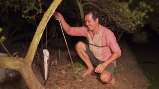 CẮM CÂU CÁ LÓC bằng mồi dế dính cá cả ký lô | Chuyện Phương Kể • Tập 133