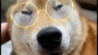 Anak laki-laki kesayangan ibu (Dalinzi, maaf ya hahaha)