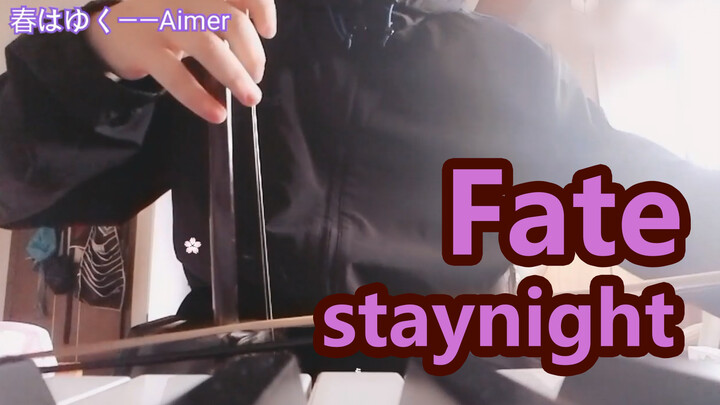 เล่นซอเพลง Haru wa Yuku - Aimer จาก Fate Stay Night Heaven's feel 3
