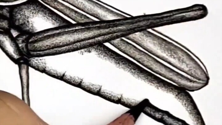 «قلم الفحم لطلاب الفنون يمكن استخدامه بهذه الطريقة أيضًا»