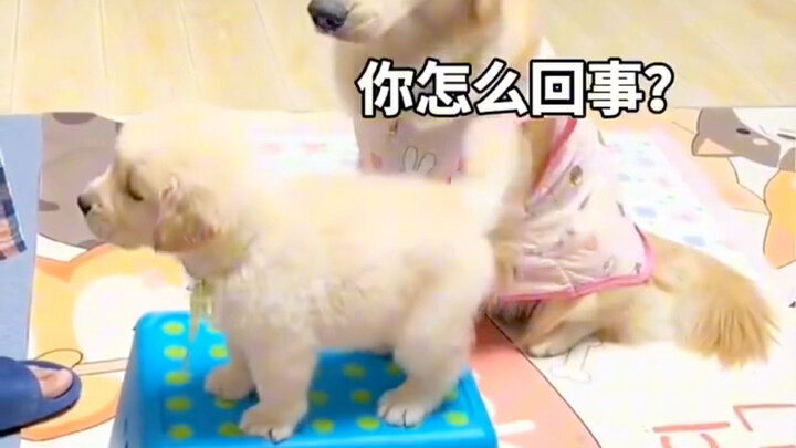 Like mother, like son.