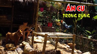 Sống Ẩn Cư Trong Rừng Khác Biệt Điều Gì Với Bên Ngoài | LTL