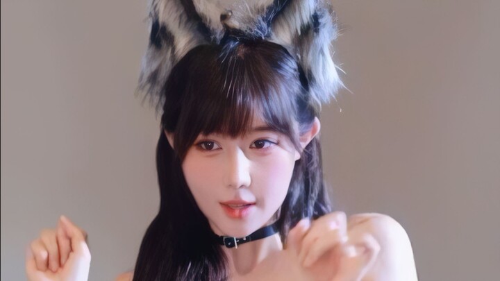 Masa Mi Ovo Bước mèo nhẹ nhàng xinh xắn