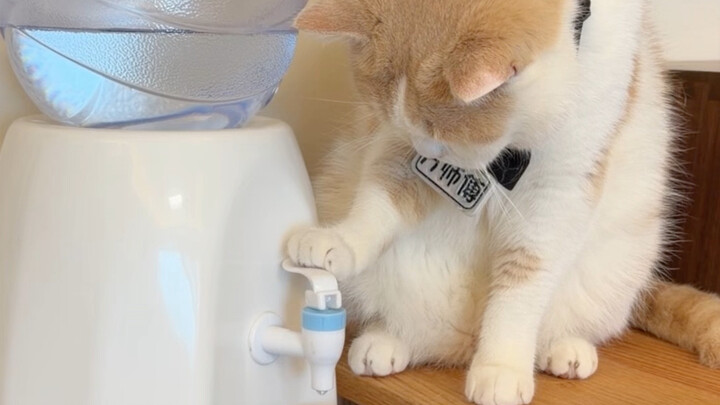Loạt thử thách đã tiến tới cả kính áp tròng màu rồi!