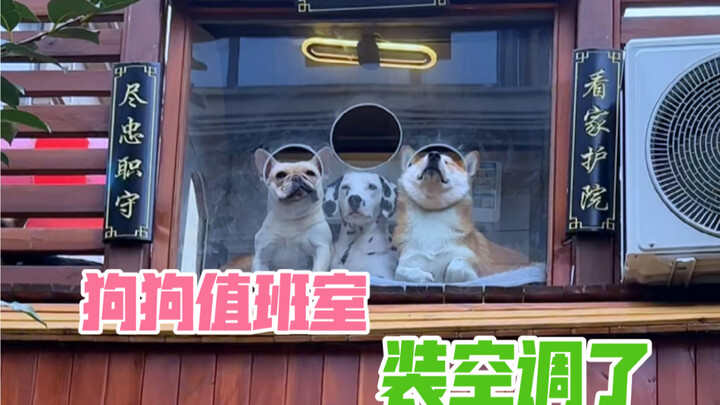 We’ve installed air conditioning in the pups’ duty room! But during the topping-out ceremony, the do