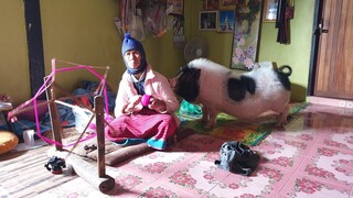 น้องรวยป่วนคุณยายแต่เช้าเลย🤣😂🐖🐖🐖