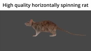 RAT