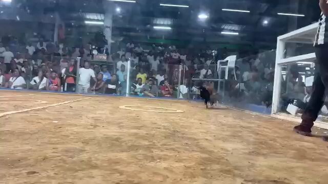 cuting