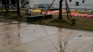 被审判官发现了（悲）