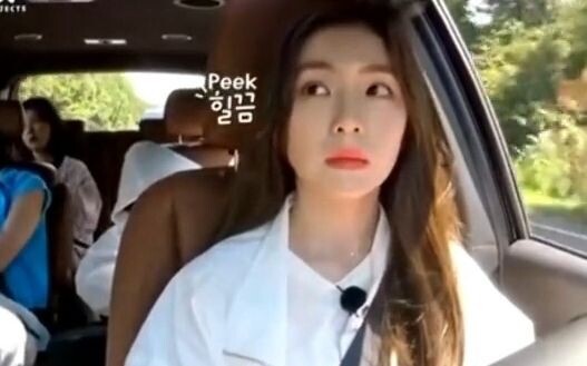 【Red Velvet】团内不同的人开车大家的反应，谁是真正的老司机