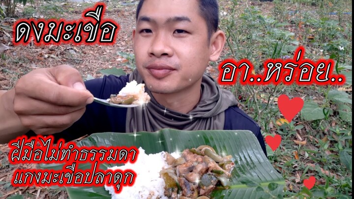 กินแกงมะเขือปลาดุก แถมกินใกล้ต้นมะเขืออีก อร่อยเหาะไปเลยครับ ep357 | ตาตี่กินโชว์