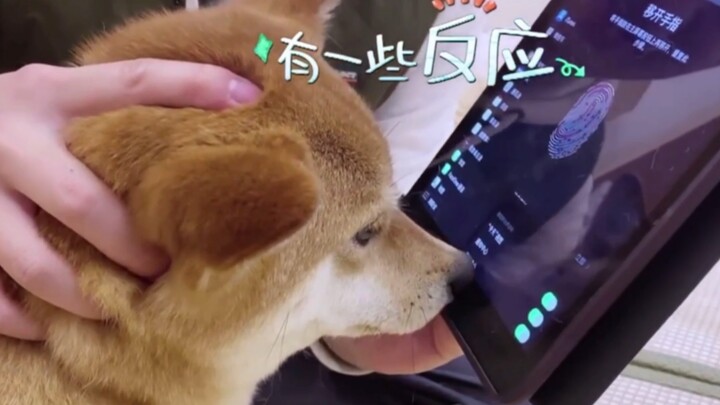 Can a dog’s nose and paws be used to enroll fingerprints for device unlocking?