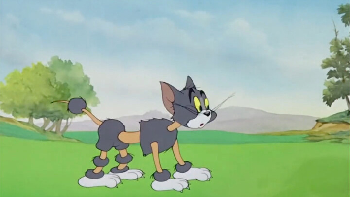 Who could say no to enjoying a fun episode of Tom and Jerry?