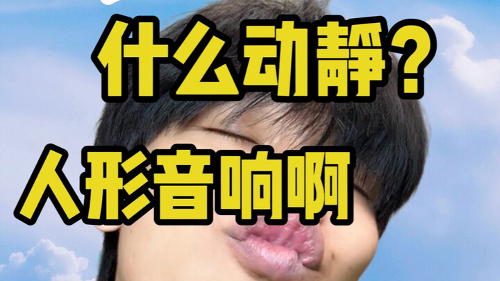 什么动静？人形音响啊？