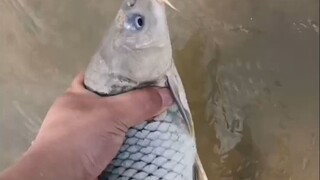 下雨天就是比钓鱼佬爽！