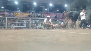 The magic grey 1 hit combo 🐓