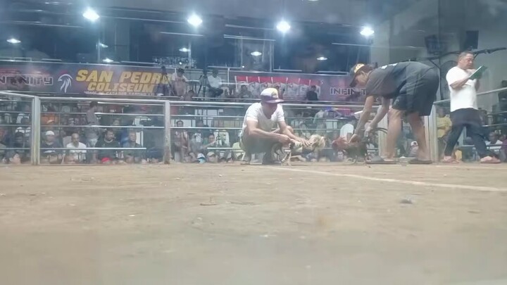 The magic grey 1 hit combo 🐓