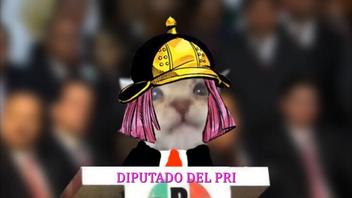 Ahora soy Diputado del PRI