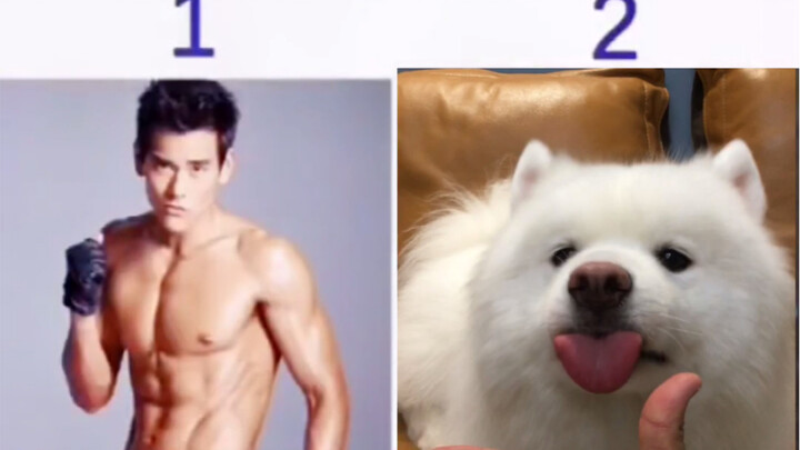 Phỏng vấn đường phố chọn một trong hai, xem phản ứng thật sự của người qua đường!