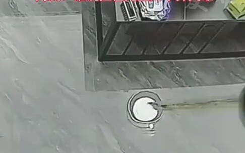 ลูกสุนัขเข้าใจผิดคิดว่าแสงไฟคือกระโถน หุ่นยนต์ดูดฝุ่นก็เข้าใจผิดคิดว่าอึสุนัขคือขยะ #เหตุการณ์ที่ถูก