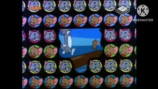 Mèo-chuột-chó.   tình huống dở khóc dở cười