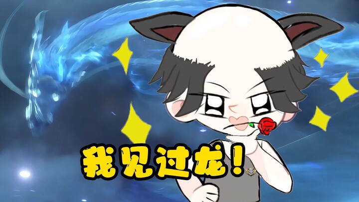 我见过龙！