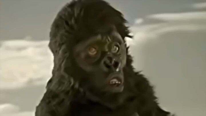 【ملف إضافي】أنا بس أكل وأكل وأكل وأكل!