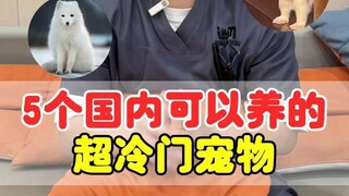 Năm loại thú cưng cực kỳ ít được ưa chuộng nhưng vẫn có thể nuôi ở Trung Quốc, thật tuyệt!