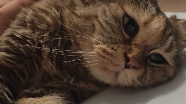 Mom, I can’t sleep…