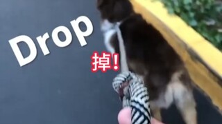 Người dọn phân chẳng biết lo lắng