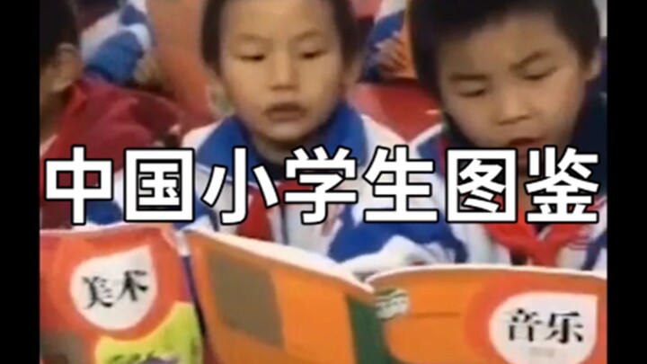 Illustrated Guide to Chinese Primary School Students