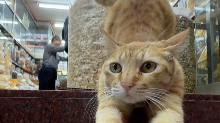 เขินจนต้องแกล้งทำเป็นยุ่งแล้ว